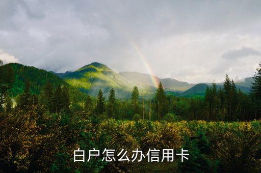 白户如何申请第一张信用卡,信用卡申请技巧集锦