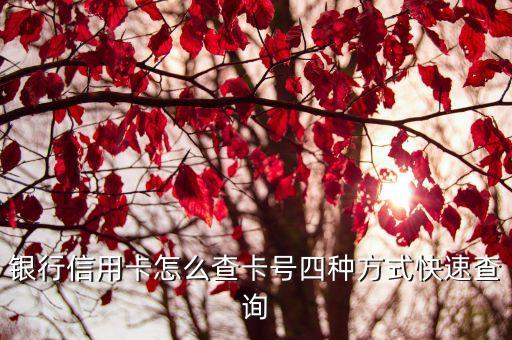银行信用卡怎么查卡号四种方式快速查询