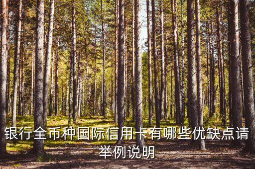 银行全币种国际信用卡有哪些优缺点请举例说明