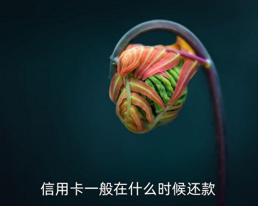 信用卡一般在什么时候还款