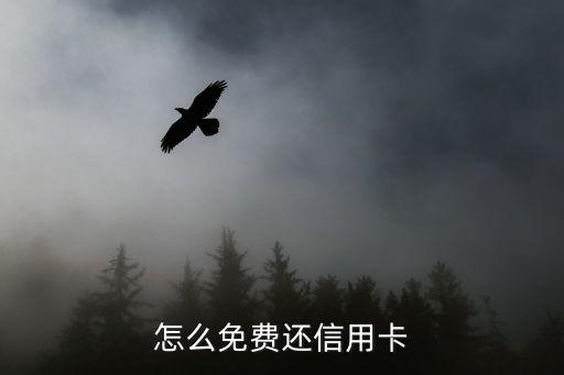 怎么免费还信用卡