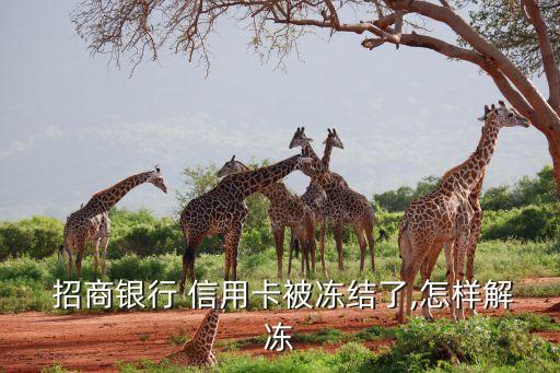  招商银行 信用卡被冻结了,怎样解冻