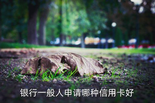 银行一般人申请哪种信用卡好