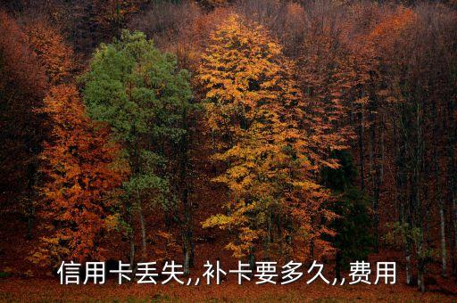 民生银行信用卡补办卡多久,民生银行信用卡怎么补办