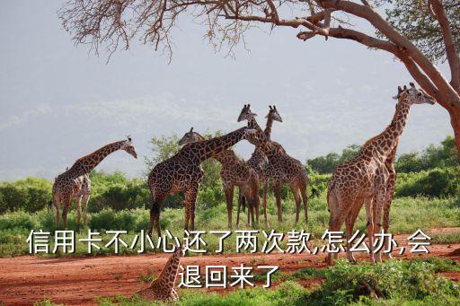 信用卡不小心还了两次款,怎么办,会退回来了