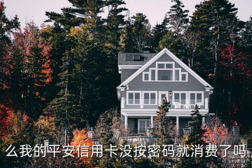 么我的平安信用卡没按密码就消费了吗
