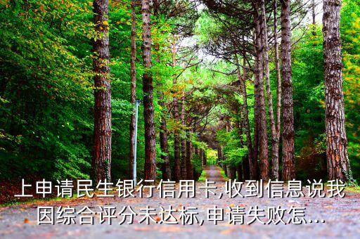 上申请民生银行信用卡,收到信息说我因综合评分未达标,申请失败怎...