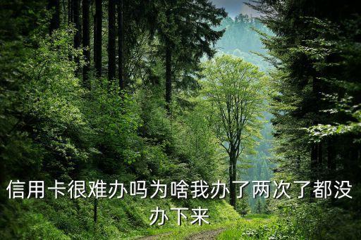 申请信用卡两次怎么办理,怎样申请信用卡最快