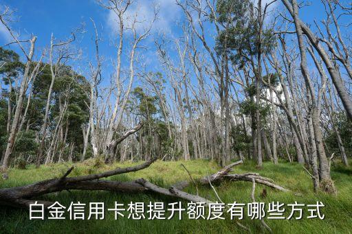白金信用卡想提升额度有哪些方式