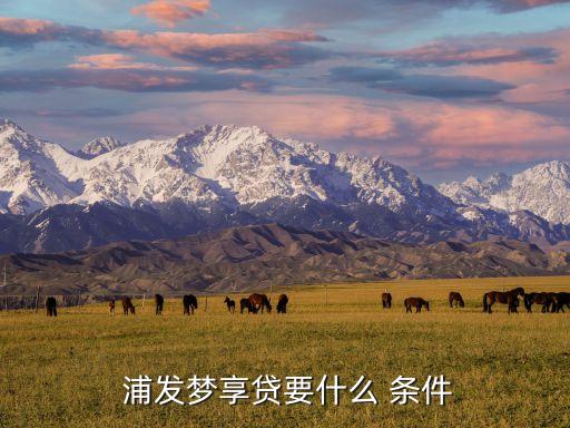  浦发梦享贷要什么 条件