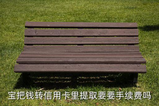 宝把钱转信用卡里提取要要手续费吗