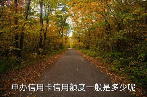申办信用卡信用额度一般是多少呢
