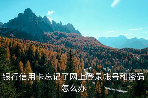 银行信用卡忘记了网上登录帐号和密码怎么办