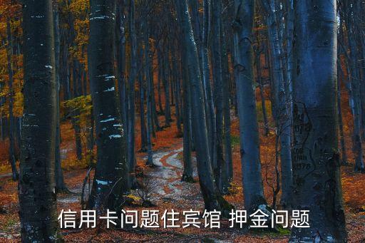  信用卡问题住宾馆 押金问题