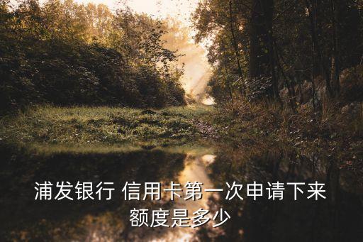  浦发银行 信用卡第一次申请下来 额度是多少