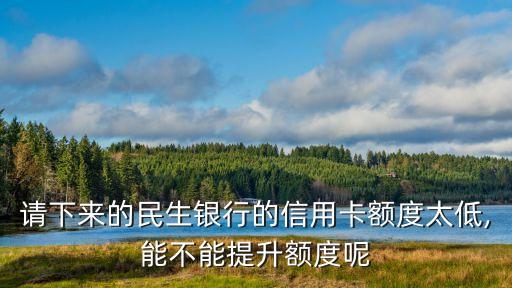 请下来的民生银行的信用卡额度太低,能不能提升额度呢
