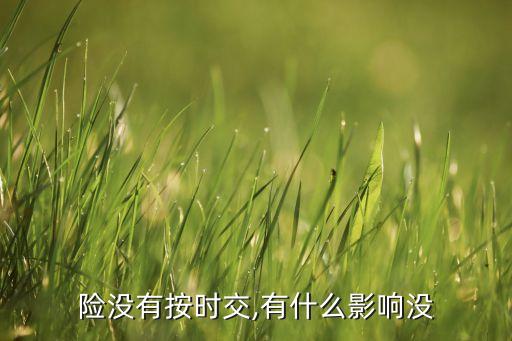 险没有按时交,有什么影响没