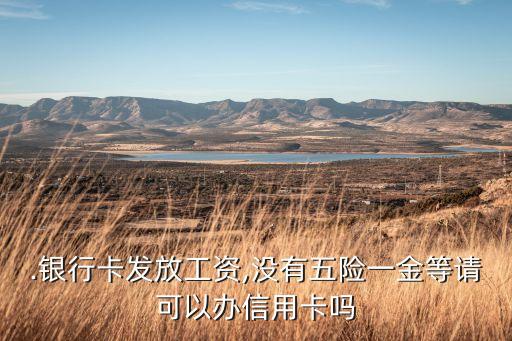 正式工作申请信用卡,无正式工作申请信用卡