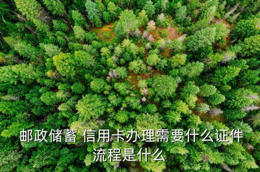  邮政储蓄 信用卡办理需要什么证件流程是什么