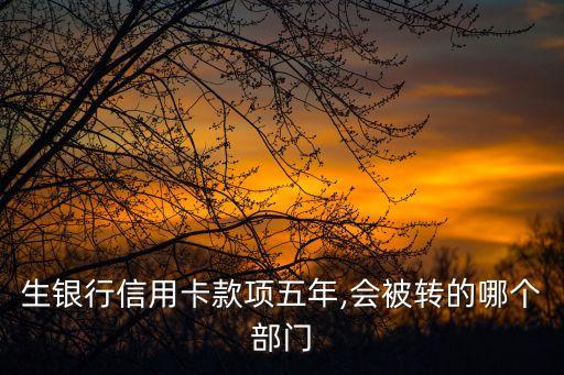生银行信用卡款项五年,会被转的哪个部门