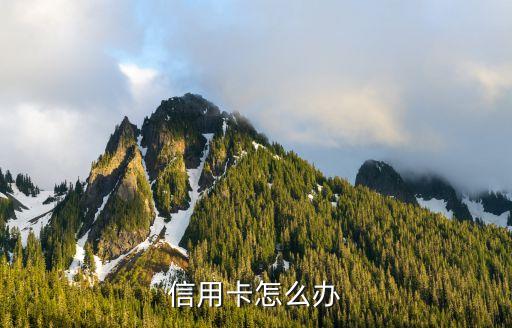 东营交通银行信用卡中,交通银行信用卡客服