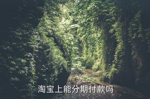  淘宝上能分期付款吗