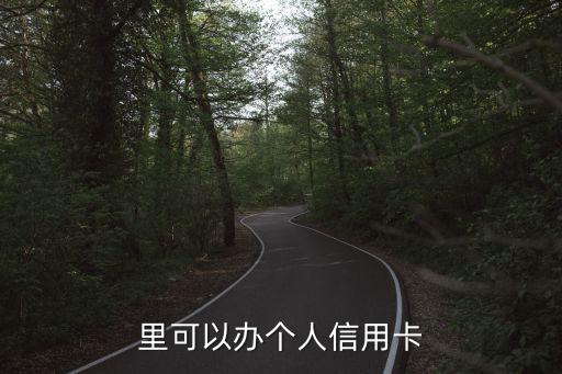 里可以办个人信用卡