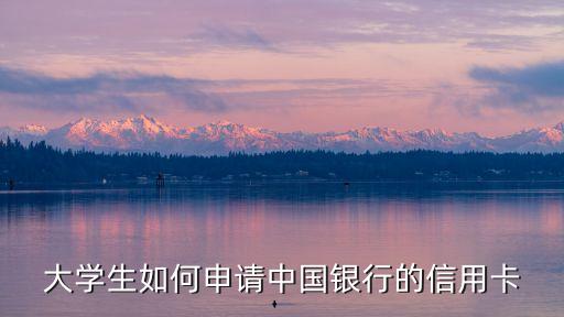 大学生如何申请中国银行的信用卡