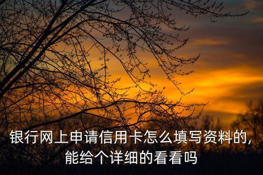 银行网上申请信用卡怎么填写资料的,能给个详细的看看吗