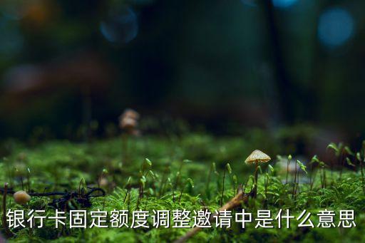 银行卡固定额度调整邀请中是什么意思