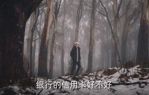银行的信用卡好不好