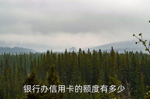 银行办信用卡的额度有多少