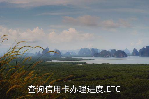 查询信用卡办理进度.ETC