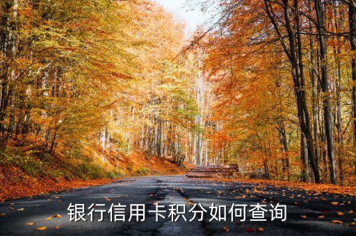 银行信用卡积分如何查询