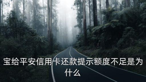 宝给平安信用卡还款提示额度不足是为什么