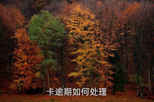 申请的信用卡逾期怎么办,信用卡逾期了怎么办