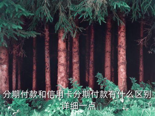 分期付款和信用卡分期付款有什么区别.详细一点
