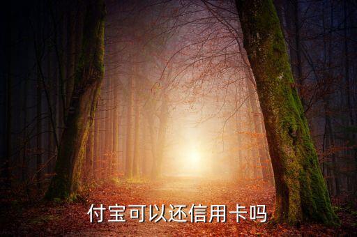 支付宝有信用卡还款么,用支付宝还信用卡可以吗