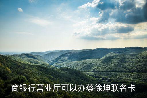 商银行营业厅可以办蔡徐坤联名卡