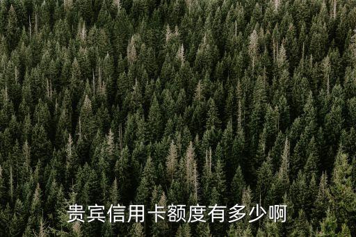 贵宾信用卡额度有多少啊