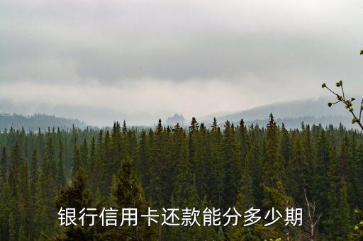 银行信用卡还款能分多少期