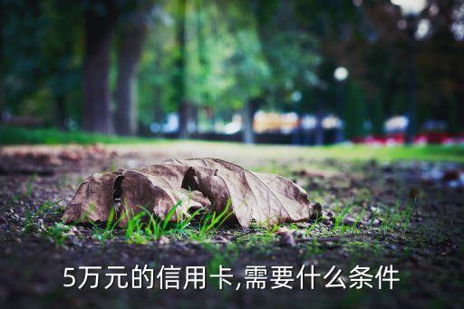 5万元的信用卡,需要什么条件