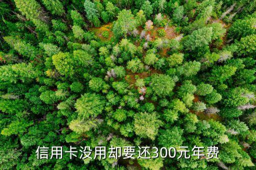 信用卡没用却要还300元年费