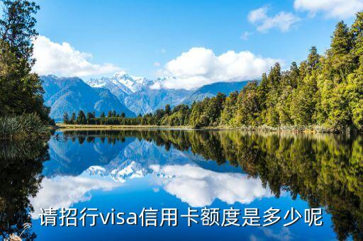 请招行visa信用卡额度是多少呢