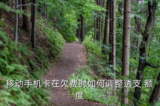 移动手机卡在欠费时如何调整透支 额度