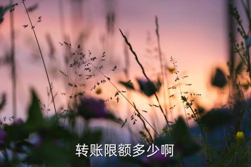转账限额多少啊