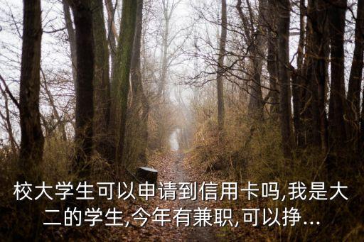 校大学生可以申请到信用卡吗,我是大二的学生,今年有兼职,可以挣...