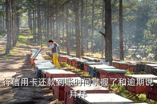 行信用卡还款到账时间掌握了和逾期说拜拜