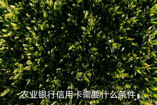 农业银行信用卡需要什么条件