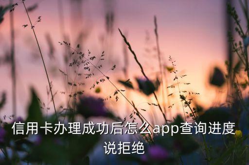 信用卡办理成功后怎么app查询进度说拒绝